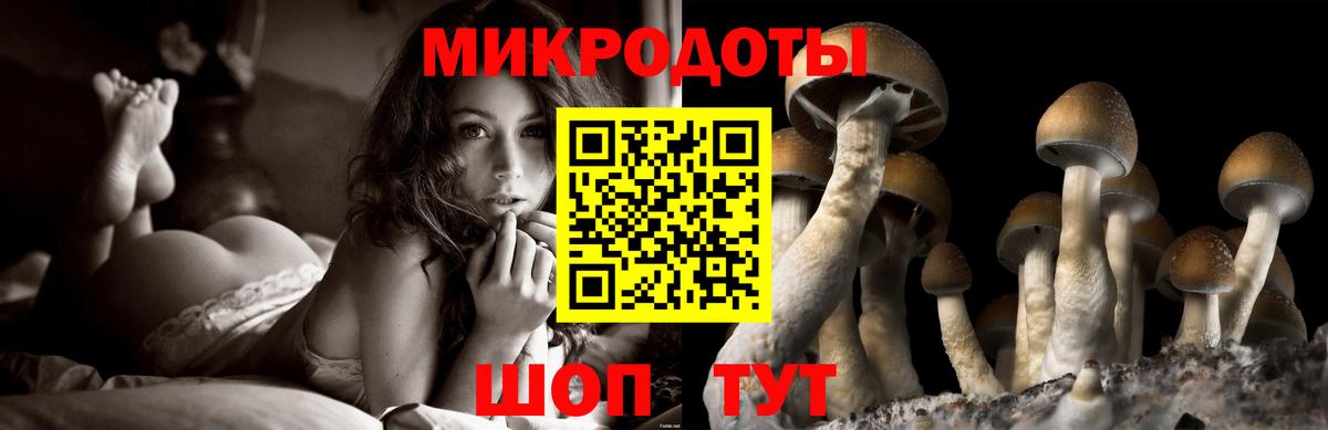 Псилоцибиновые грибы ЛСД Чайковский